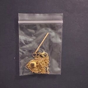 Gold-Toned Necklace with Pendant